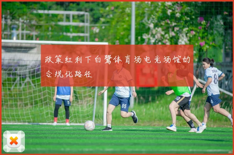 政策红利下白鹭体育场电竞场馆的合规化路径