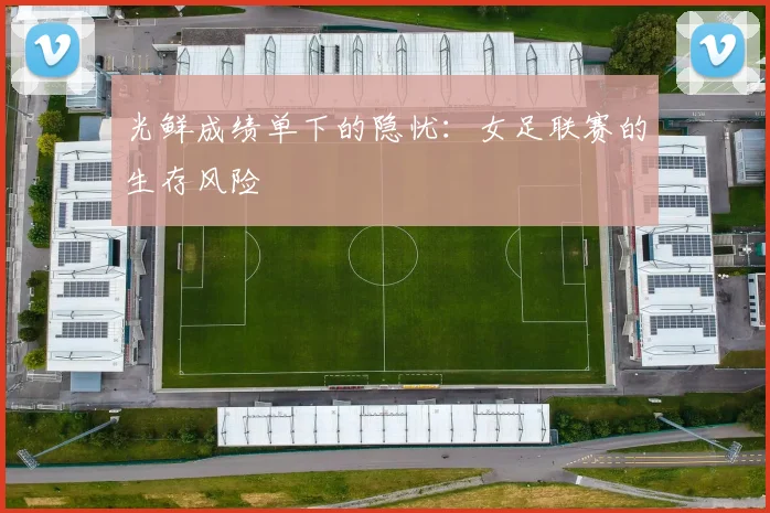 光鲜成绩单下的隐忧：女足联赛的生存风险
