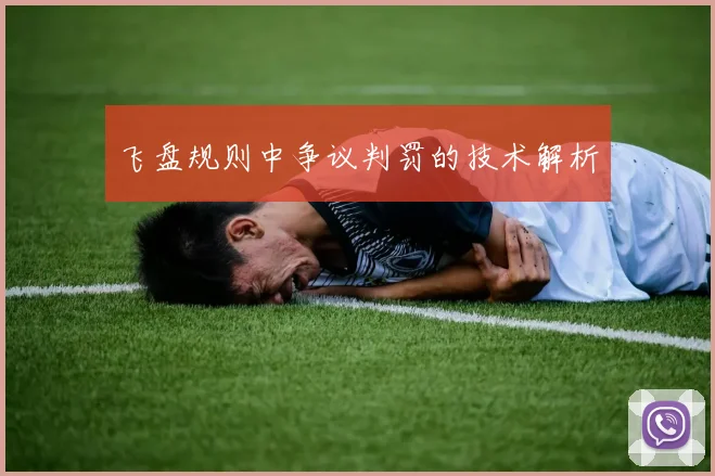 飞盘规则中争议判罚的技术解析