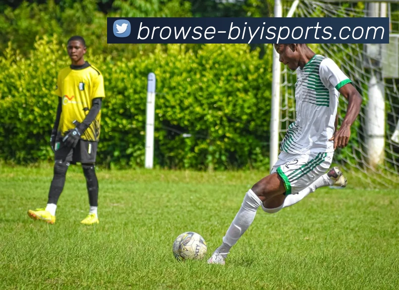 必一体育平台生态图